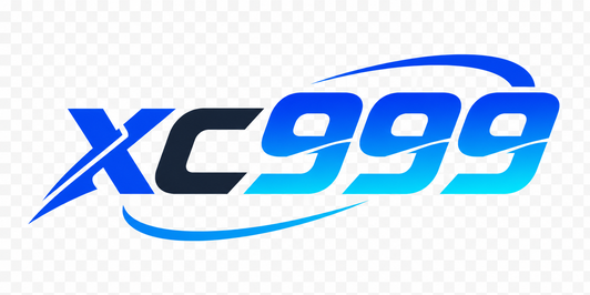 xc999
